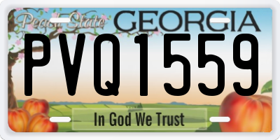 GA license plate PVQ1559