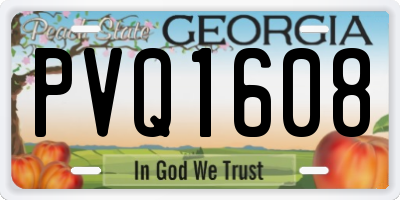 GA license plate PVQ1608