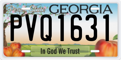 GA license plate PVQ1631