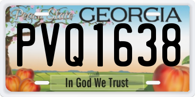GA license plate PVQ1638