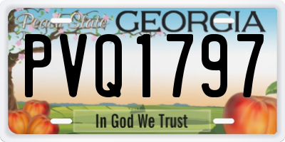 GA license plate PVQ1797