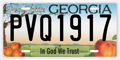 GA license plate PVQ1917