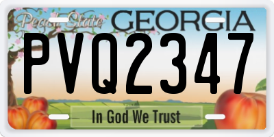 GA license plate PVQ2347