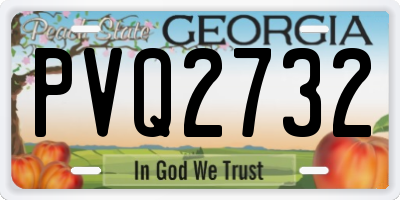 GA license plate PVQ2732