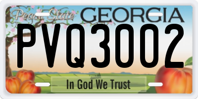 GA license plate PVQ3002