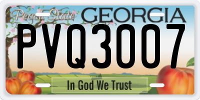 GA license plate PVQ3007