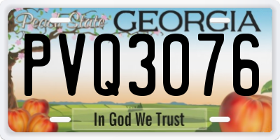 GA license plate PVQ3076