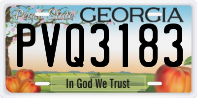 GA license plate PVQ3183