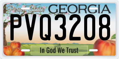 GA license plate PVQ3208
