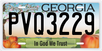 GA license plate PVQ3229