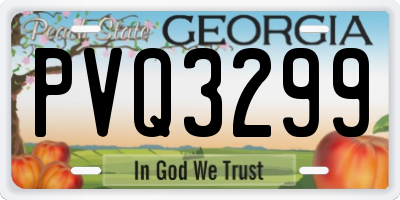 GA license plate PVQ3299