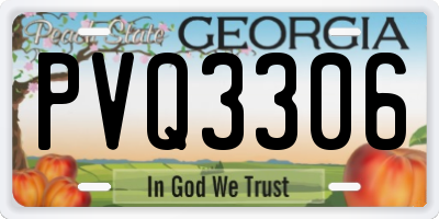 GA license plate PVQ3306