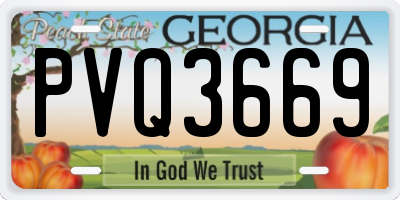 GA license plate PVQ3669