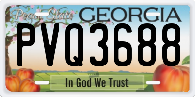 GA license plate PVQ3688