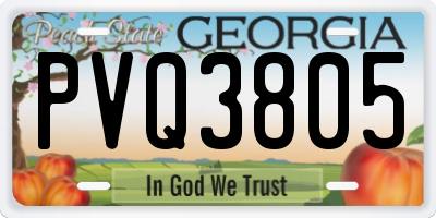 GA license plate PVQ3805