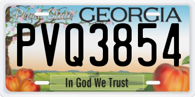 GA license plate PVQ3854