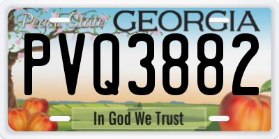 GA license plate PVQ3882