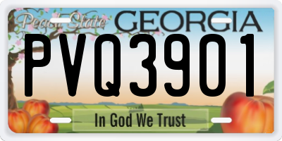 GA license plate PVQ3901