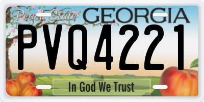 GA license plate PVQ4221