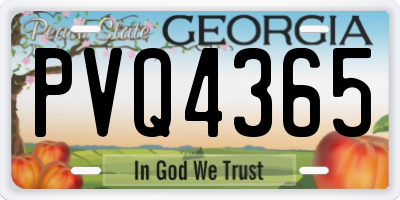 GA license plate PVQ4365