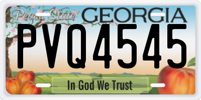GA license plate PVQ4545