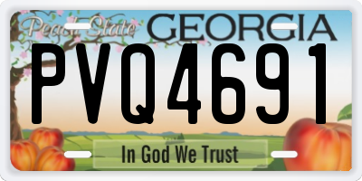 GA license plate PVQ4691