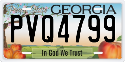 GA license plate PVQ4799