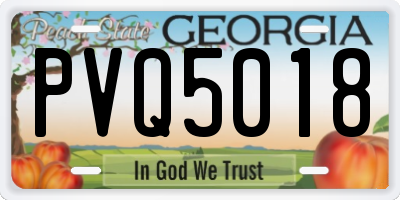 GA license plate PVQ5018