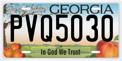 GA license plate PVQ5030