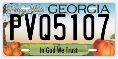 GA license plate PVQ5107