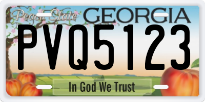 GA license plate PVQ5123