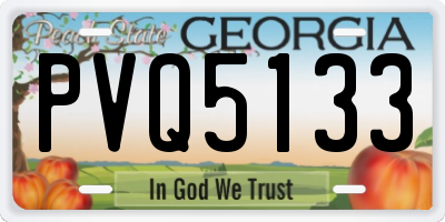 GA license plate PVQ5133
