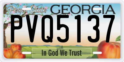 GA license plate PVQ5137
