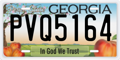 GA license plate PVQ5164
