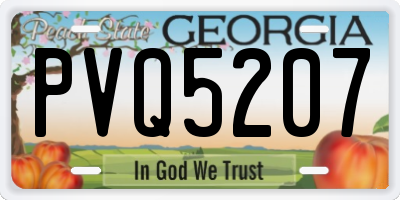 GA license plate PVQ5207