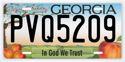GA license plate PVQ5209