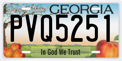 GA license plate PVQ5251