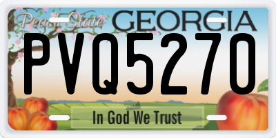 GA license plate PVQ5270