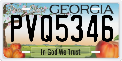 GA license plate PVQ5346