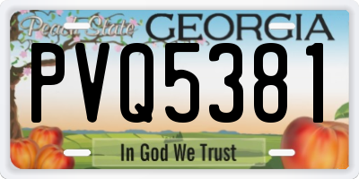 GA license plate PVQ5381
