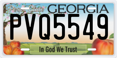 GA license plate PVQ5549