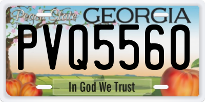 GA license plate PVQ5560