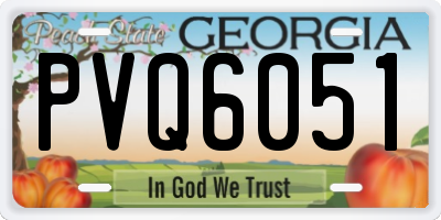GA license plate PVQ6051