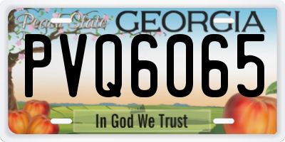 GA license plate PVQ6065
