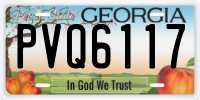 GA license plate PVQ6117