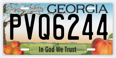 GA license plate PVQ6244