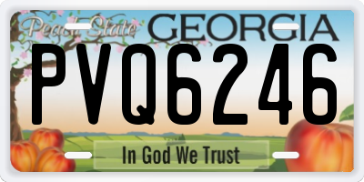 GA license plate PVQ6246