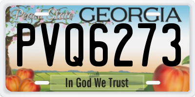 GA license plate PVQ6273