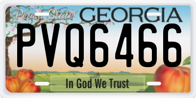 GA license plate PVQ6466