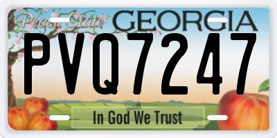 GA license plate PVQ7247